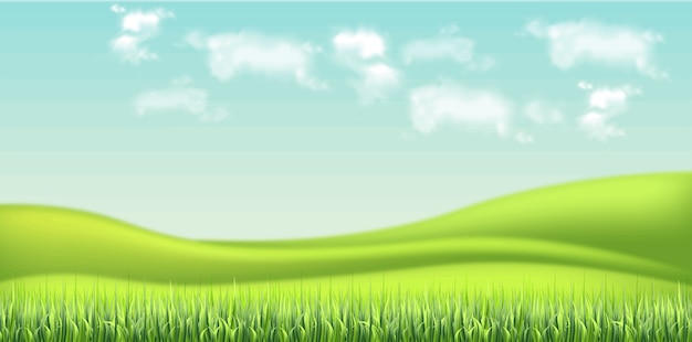 Vetor campo verde e fundo do céu