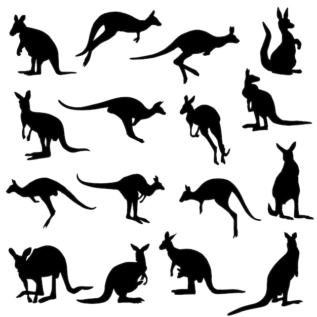 Canguru animal austrália silhouette clipart