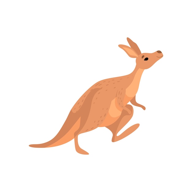 Canguru, cute, marrom, wallaby, animal australiano, personagem, vetorial, ilustração