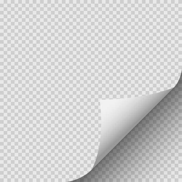 Canto enrolado de papel.