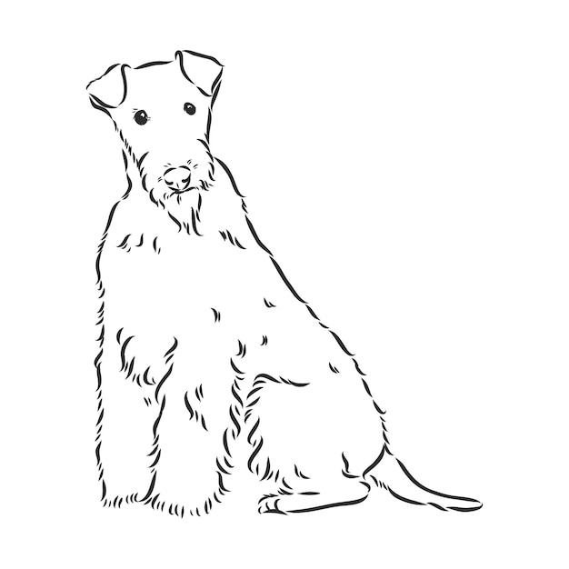 Cão airedale terrier. desenhado à mão. ilustração vetorial