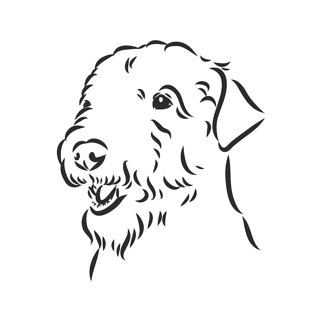 Cão airedale terrier. desenhado à mão. ilustração vetorial