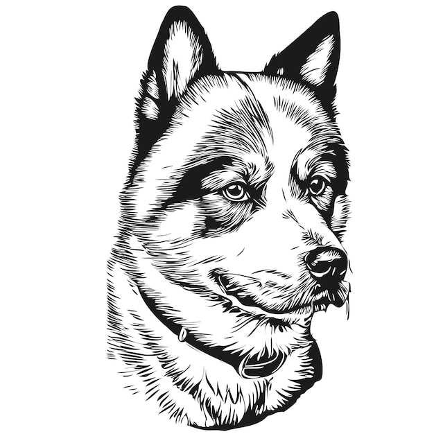 Cão akita logotipo desenhado à mão desenhando arte de linha preto e branco animais de estimação ilustração animal de estimação de raça realista