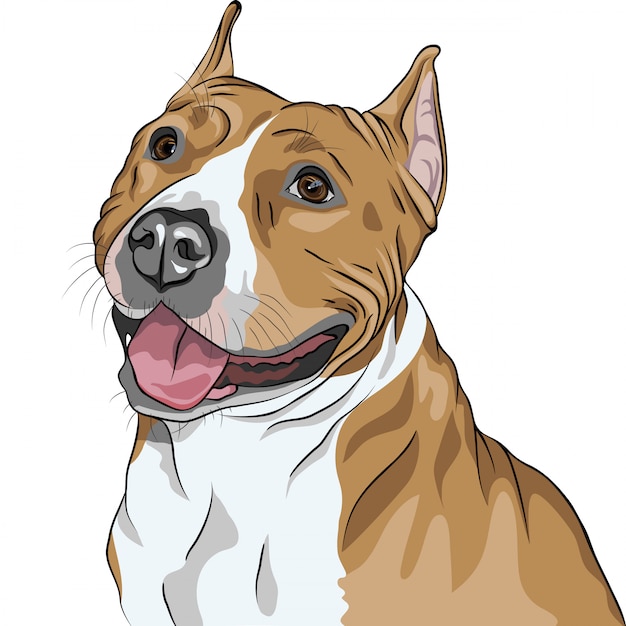 cão American Staffordshire Terrier raça sorrisos
