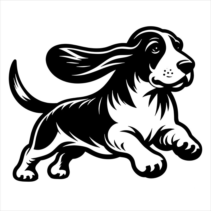 Vetor cão basset hound correndo svg
