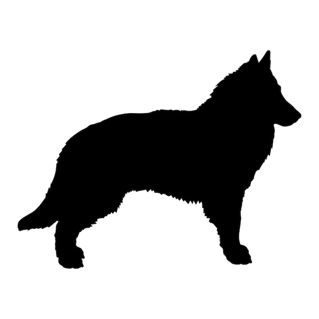 Vetor cão belga tervuren silhueta raças de cães logotipo cão monograma vetor