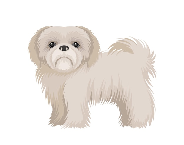 Cão bonito conceito adorável raça de animal de estimação e animal doméstico bonito filhote de cachorro branco fofo elemento gráfico para site cartoon ilustração vetorial plana isolado em fundo branco