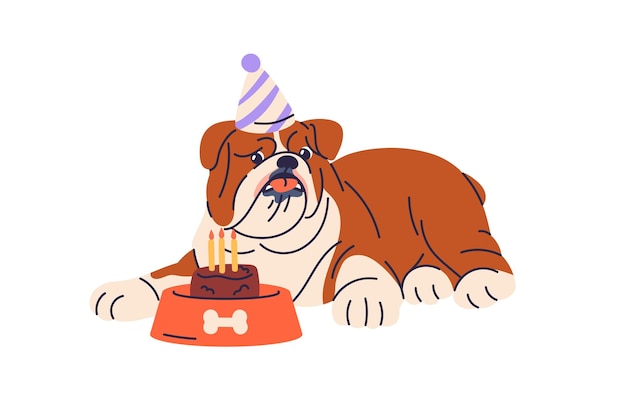 Vetor cão bonito em chapéu de aniversário cão de bulldog inglês feliz na frente de bolo de feriado doce canino trata com velas cachorro engraçado com presente de comida ilustração vetorial plana isolada em fundo branco