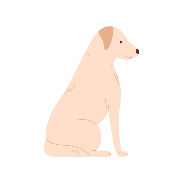 Vetor cão branco sentado retrato engraçado de cachorrinho peludo com vista lateral da cauda