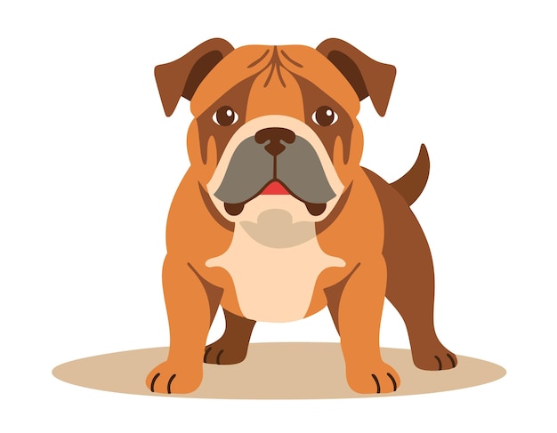 Cão-Buldo