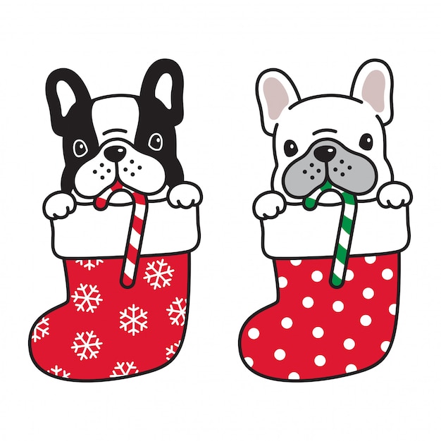 Cão bulldog francês na meia de natal