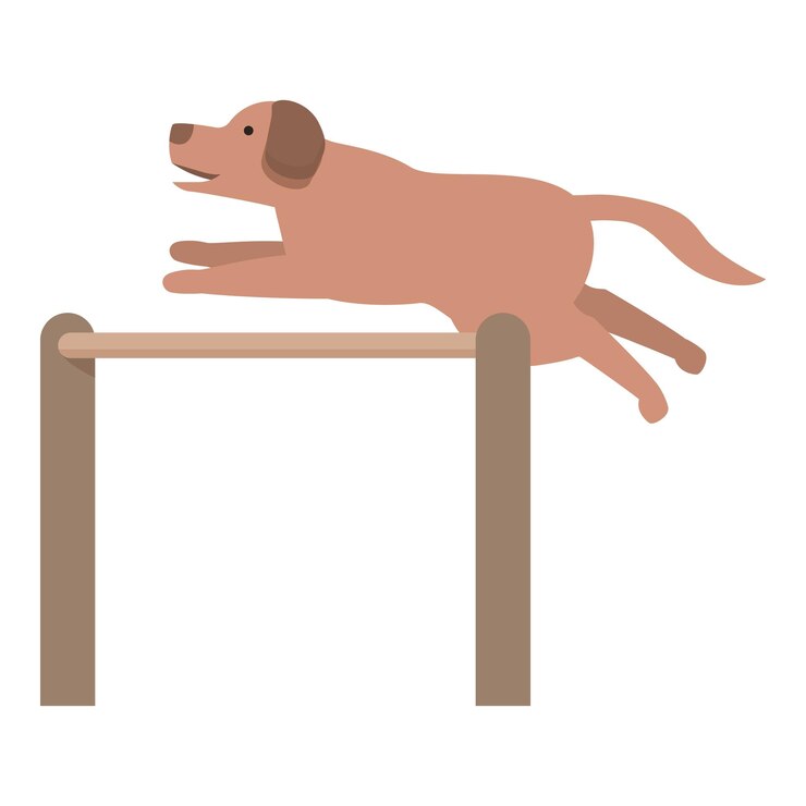 Vetor cão castanho pulando sobre um obstáculo durante o treinamento