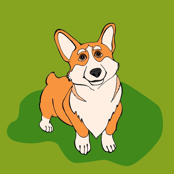 Vetor cão corgi de desenho animado na imagem de cor de vetor de grama verde
