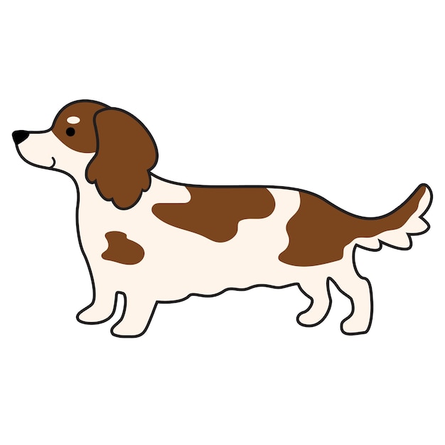 Cão dachshund em ícone de cor de cabelo longo branco castanho