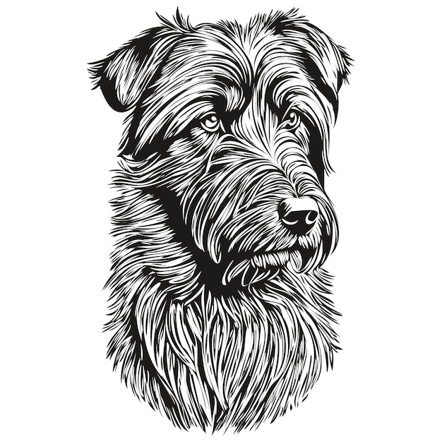 Vetor cão de briard ilustração realista de animal de estimação desenho de mão rosto vetor preto e branco animal de raça realista
