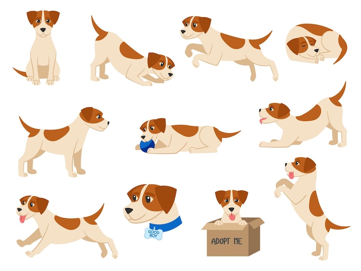 Vetor cão de desenho animado brincalhão beagle filhote de estimação sentado corre dorme e brinca com bola bom menino vetor ilustração conjunto de filhote beagle brincalhão desenho animado cachorrinho animal cachorrinho
