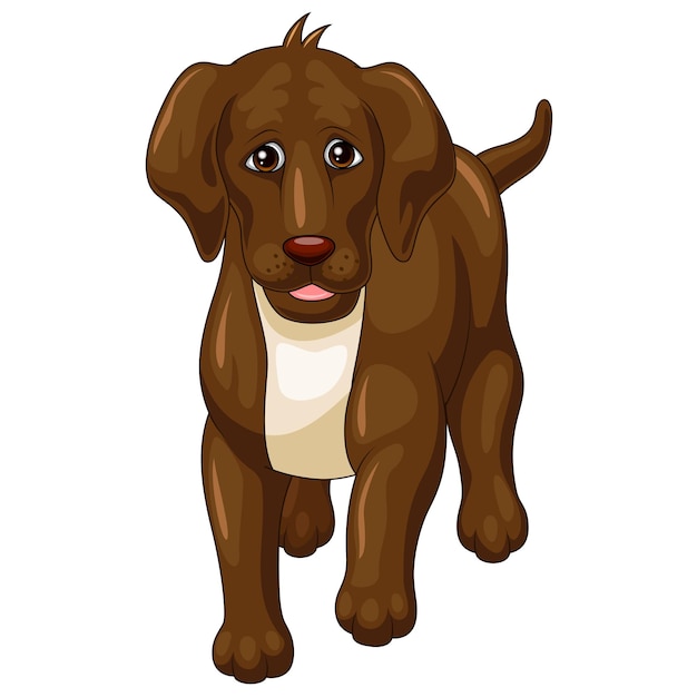 Cão de desenho animado isolado em fundo branco