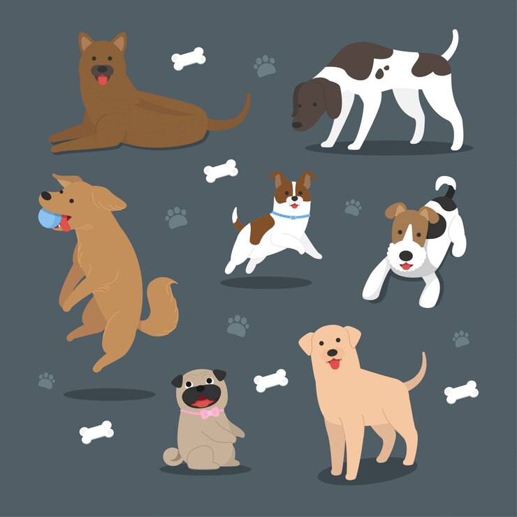 Cão de desenho vetorial gera coleção