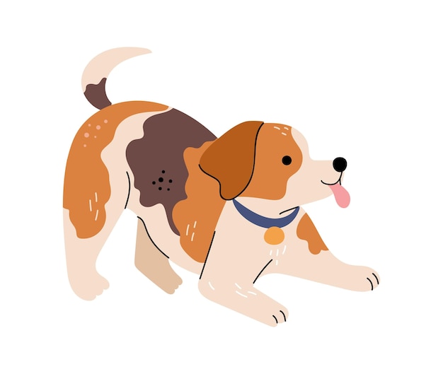 Cão de estimação canino beagle brincalhão