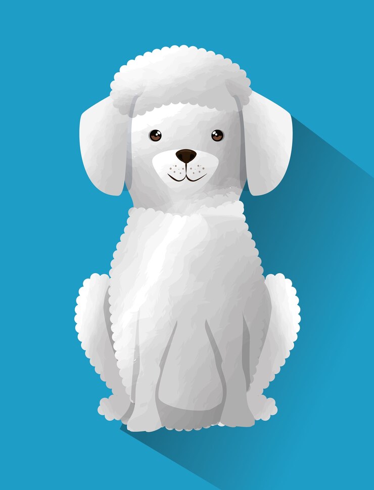 Vetor cão de poodle francês bonito