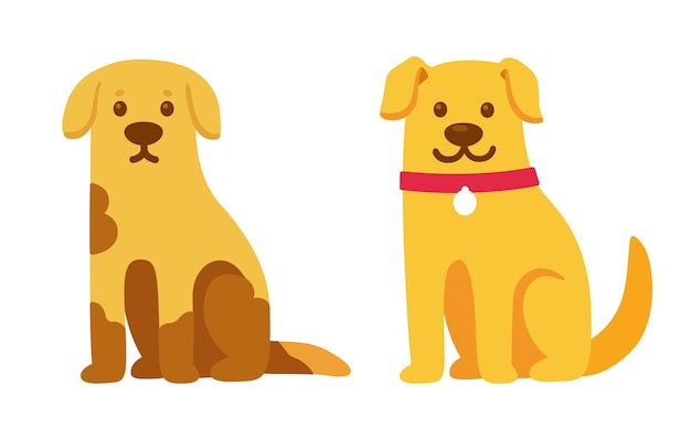 Cão de resgate antes e depois da adoção