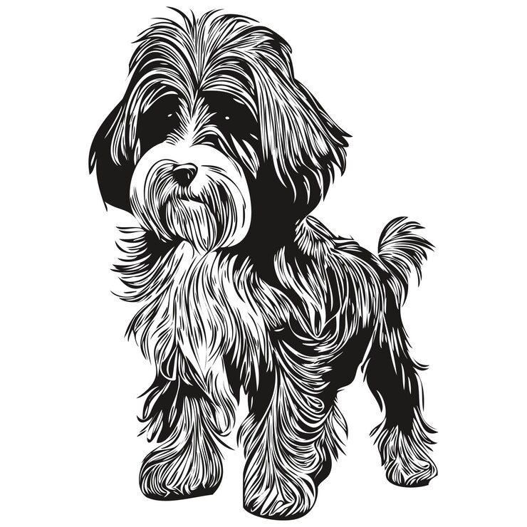 Vetor cão havanês desenhado à mão vetor linha arte desenhando logotipo preto e branco ilustração de animais de estimação