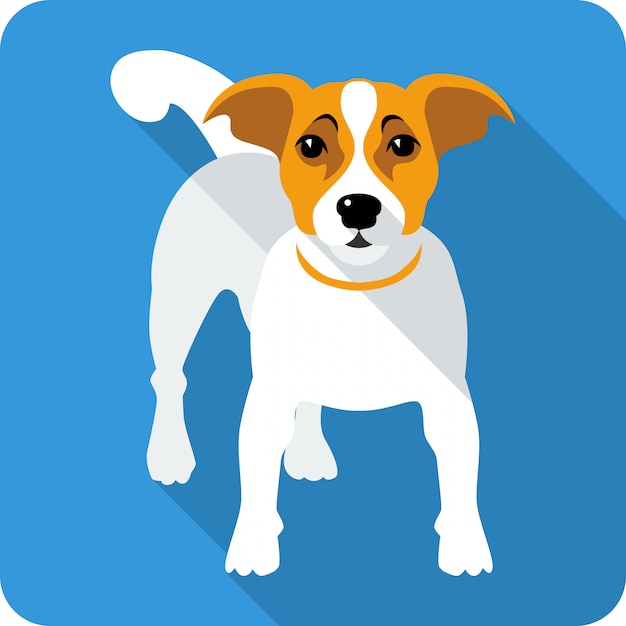 Cão jack russell terrier clipart design plano