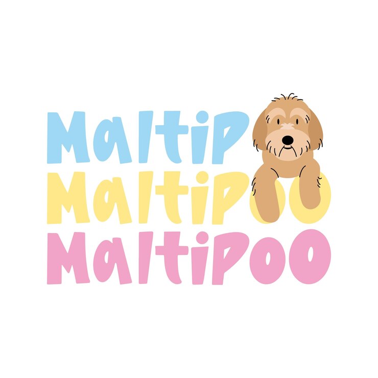 Vetor cão maltipoo bonito com projeto de vetor de texto