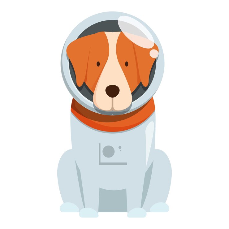 Cão marrom e branco vestindo traje de astronauta sentado