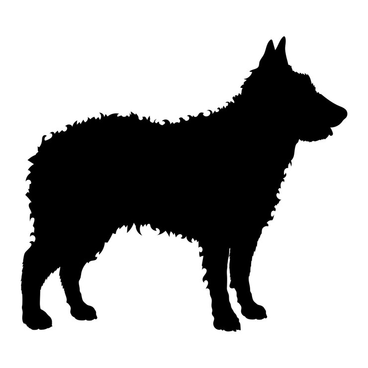 Vetor cão pastor croata silhueta raças de cães logotipo monograma vetor de cão
