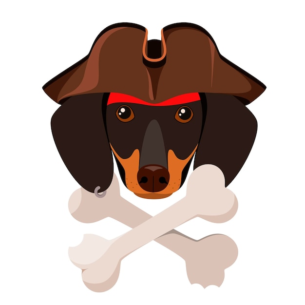 Cão pirata em um fundo branco dachshund desenho dos desenhos animados