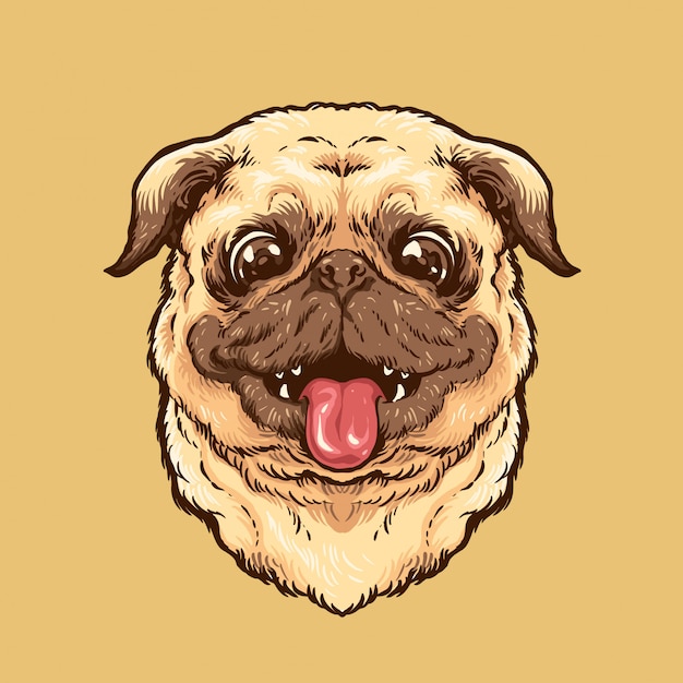 Cão pug bonito