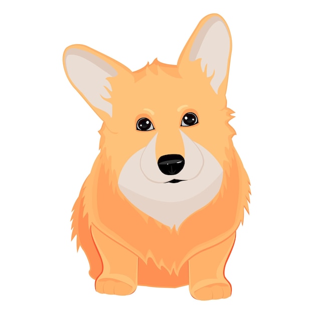 Cão realista raça corgi em um fundo branco - vetor