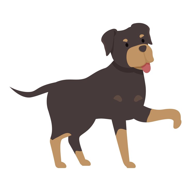 Vetor cão rottweiler feliz em pé e levantando uma pata