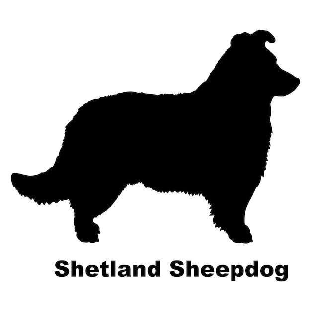 Vetor cão silhueta cão shetland sheepdog raças logo cão monograma vetor