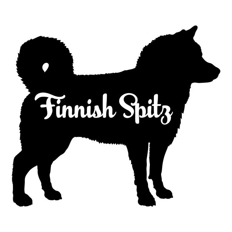 Vetor cão spitz finlandês silhueta raças de cães logotipo cão monograma vetor