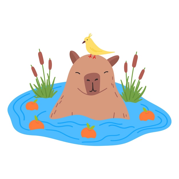 Vetor capibara com pássaro personagem engraçado em design plano cute capibara nadando na água com mandarins ilustração vetorial