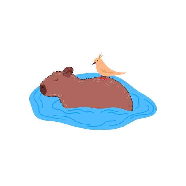 Capibara com pássaro personagem engraçado em design plano cute capibara nadando na água ilustração vetorial