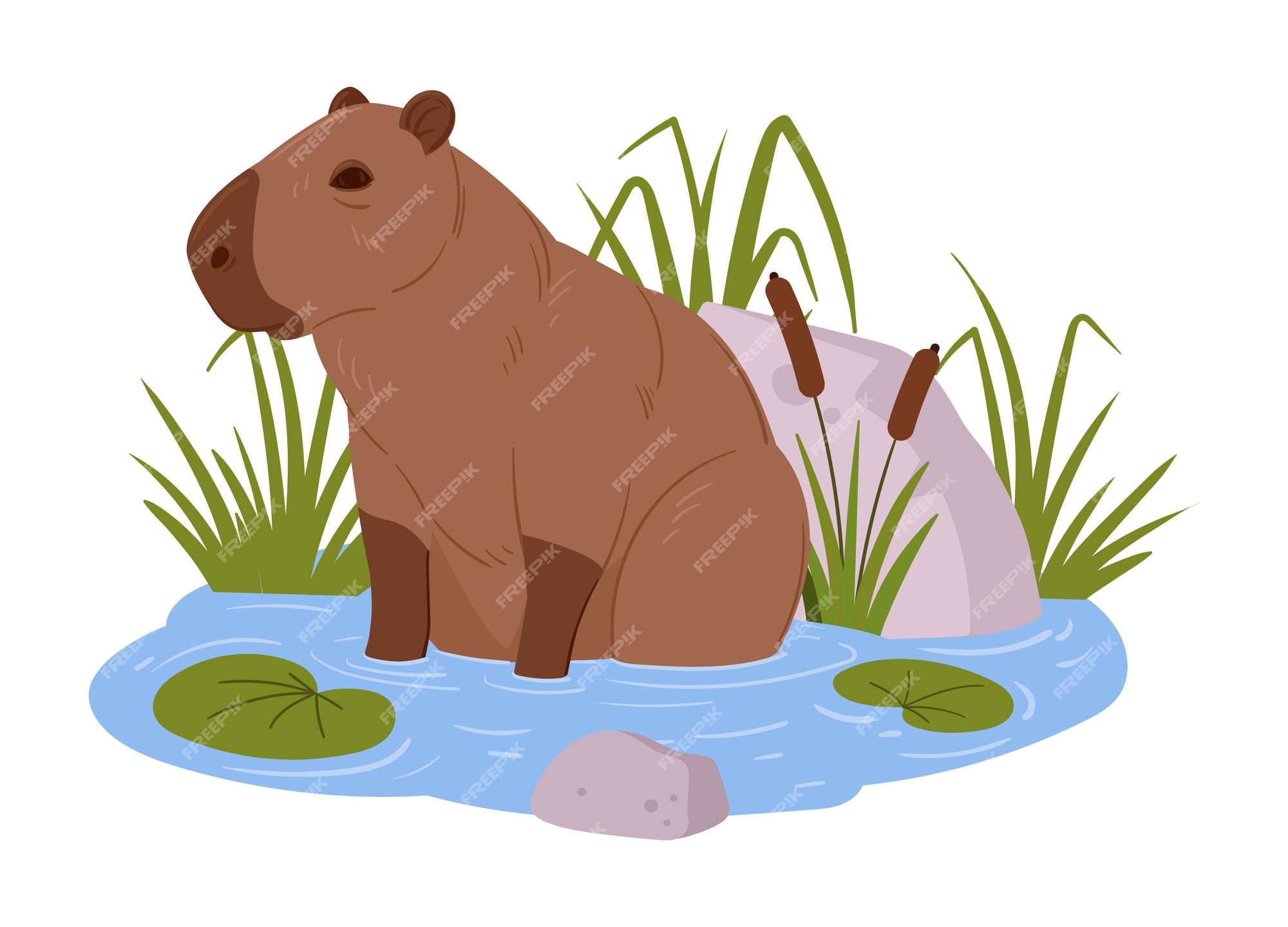 Capivara Desenho Imagens – Download Grátis no Freepik