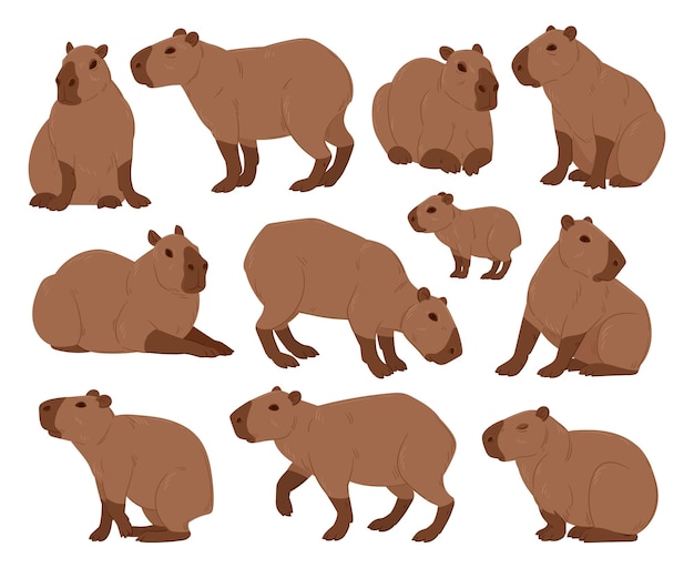 Desenho De Capivara PNG Images, Vetores E Arquivos PSD