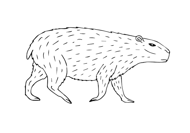 padrão sem emenda de vetor desenho bonito contorno capivara 2998452 Vetor  no Vecteezy