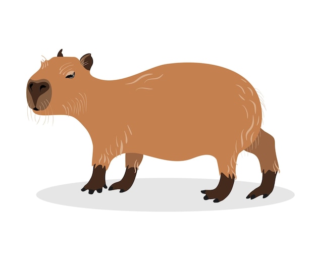 Fundo Três Lindas Capivaras Fundo, Capivara, Animal, Desenho Animado Imagem  de plano de fundo para download gratuito