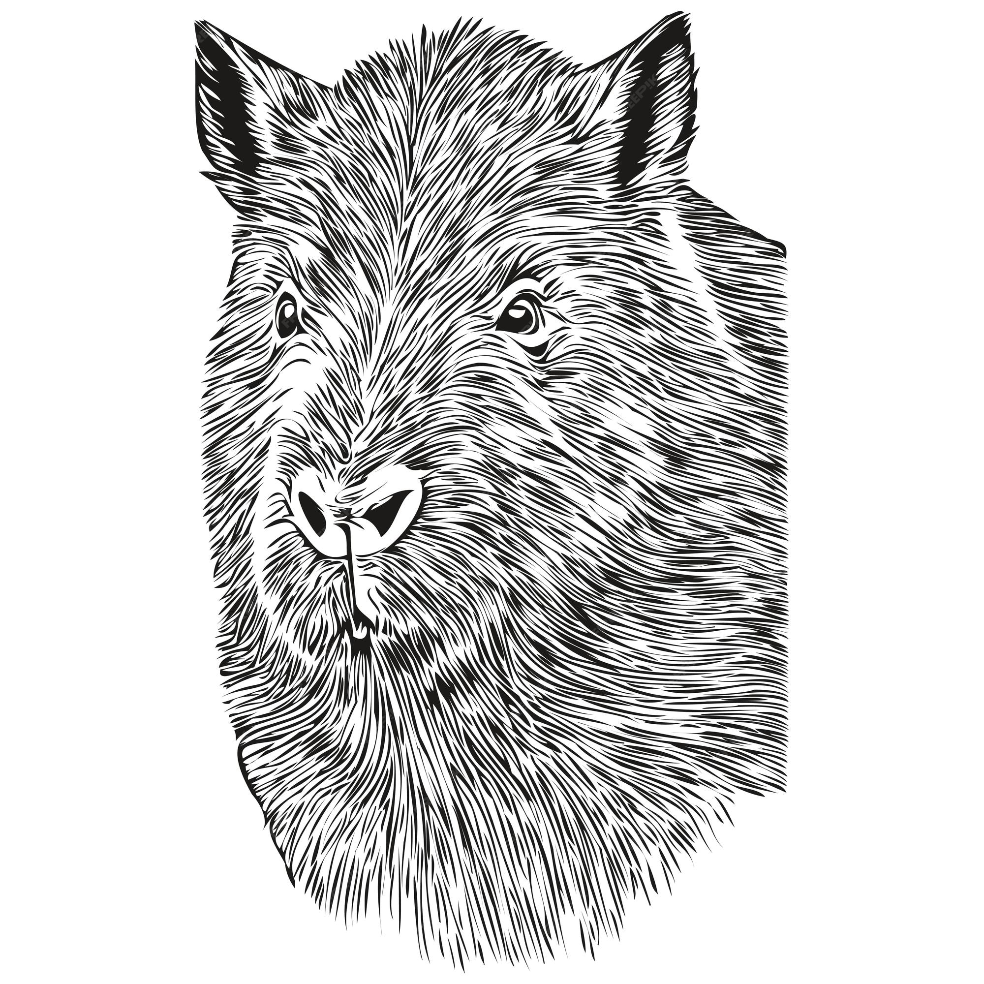 Modelo Adesivo Preto Capivara Desenho Animado Personagem Ilustração imagem  vetorial de blueringmedia© 535000194