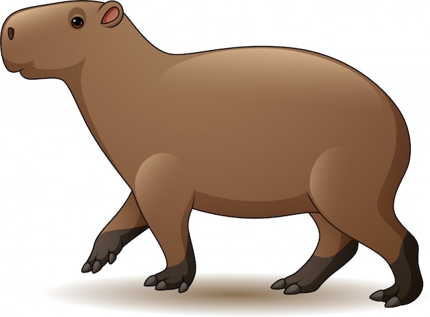 Bonito Desenho De Capivara Com Sinal Em Branco PNG , Feliz, Pose