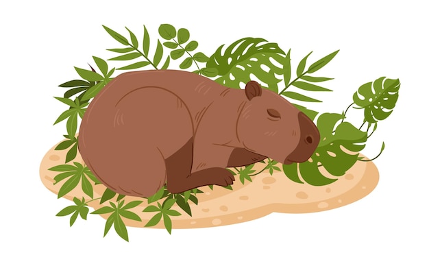 Ilustração Carnívoros animados dos desenhos animados, capivara, mamífero,  carnívoro png