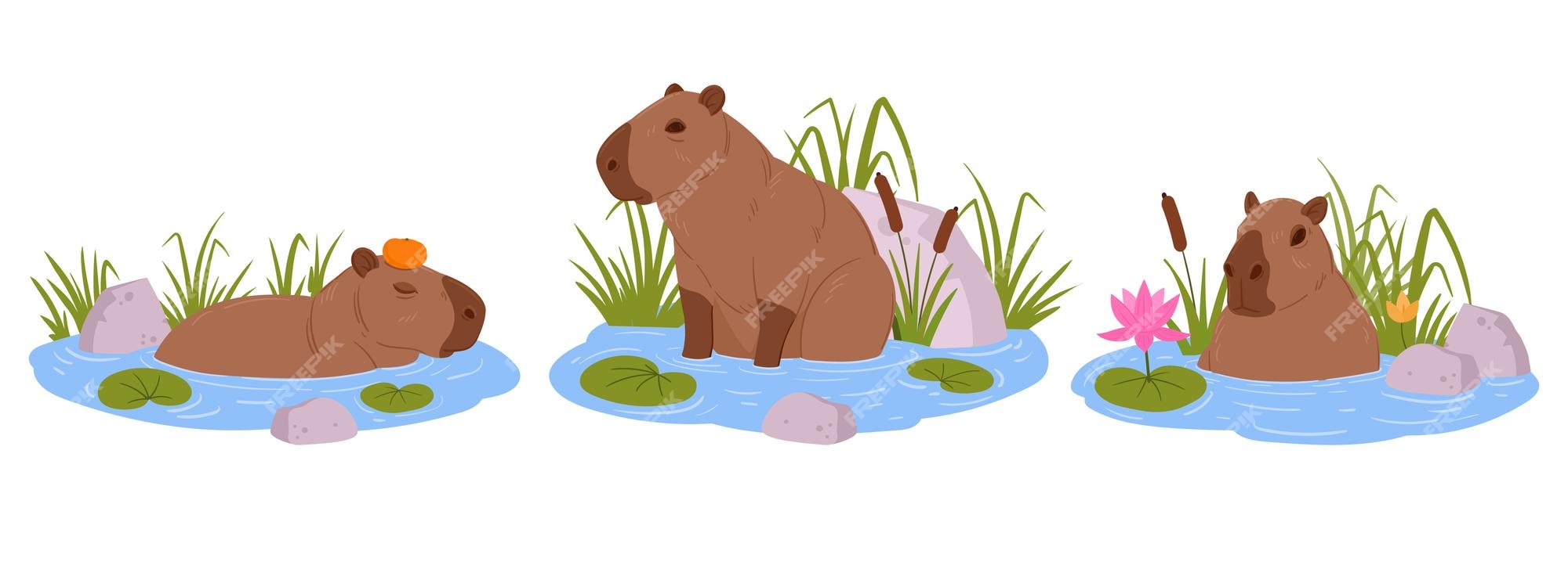 Capivara de desenho animado capivaras fofas animais selvagens