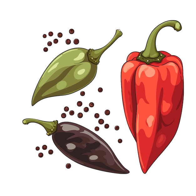 Capsicum e pimenta preta vetor clipart fundo branco