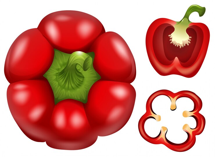 Vetor capsicum fresco com diferentes cortes