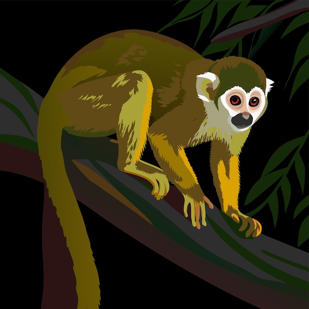 Capuchinho tuftado personagem de desenho animado desenhado à mão adesivo ícone conceito ilustração isolada