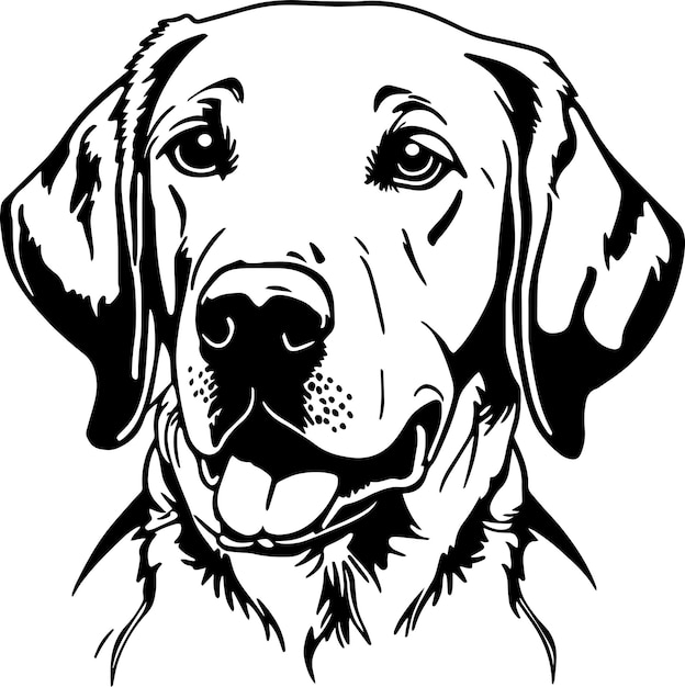 Cara de cachorro labrador isolada em uma ilustração vetorial svg de fundo branco